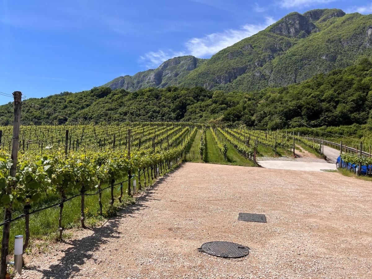 トレント Agriturismo Margoneヴィラ エクステリア 写真