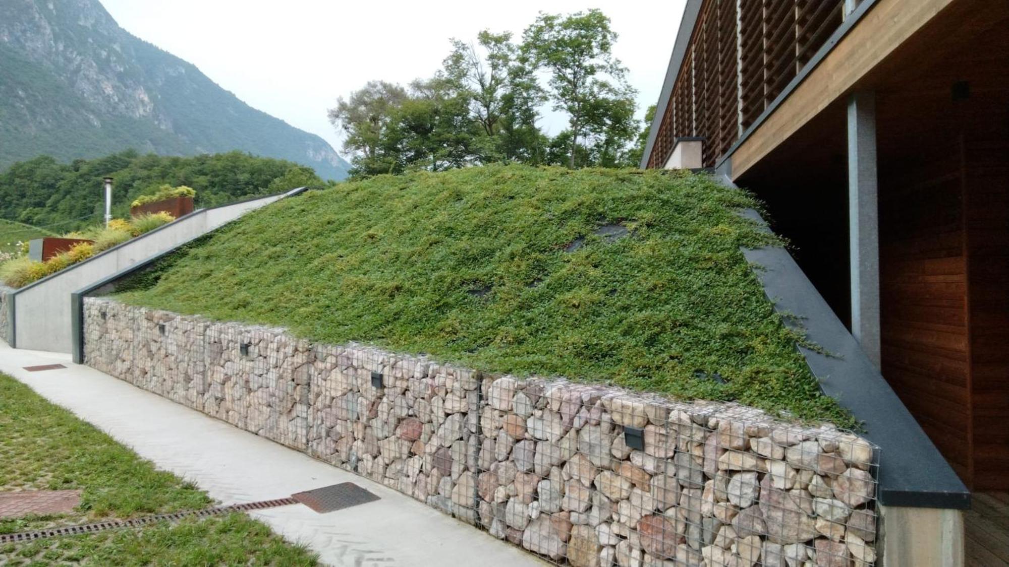 トレント Agriturismo Margoneヴィラ エクステリア 写真