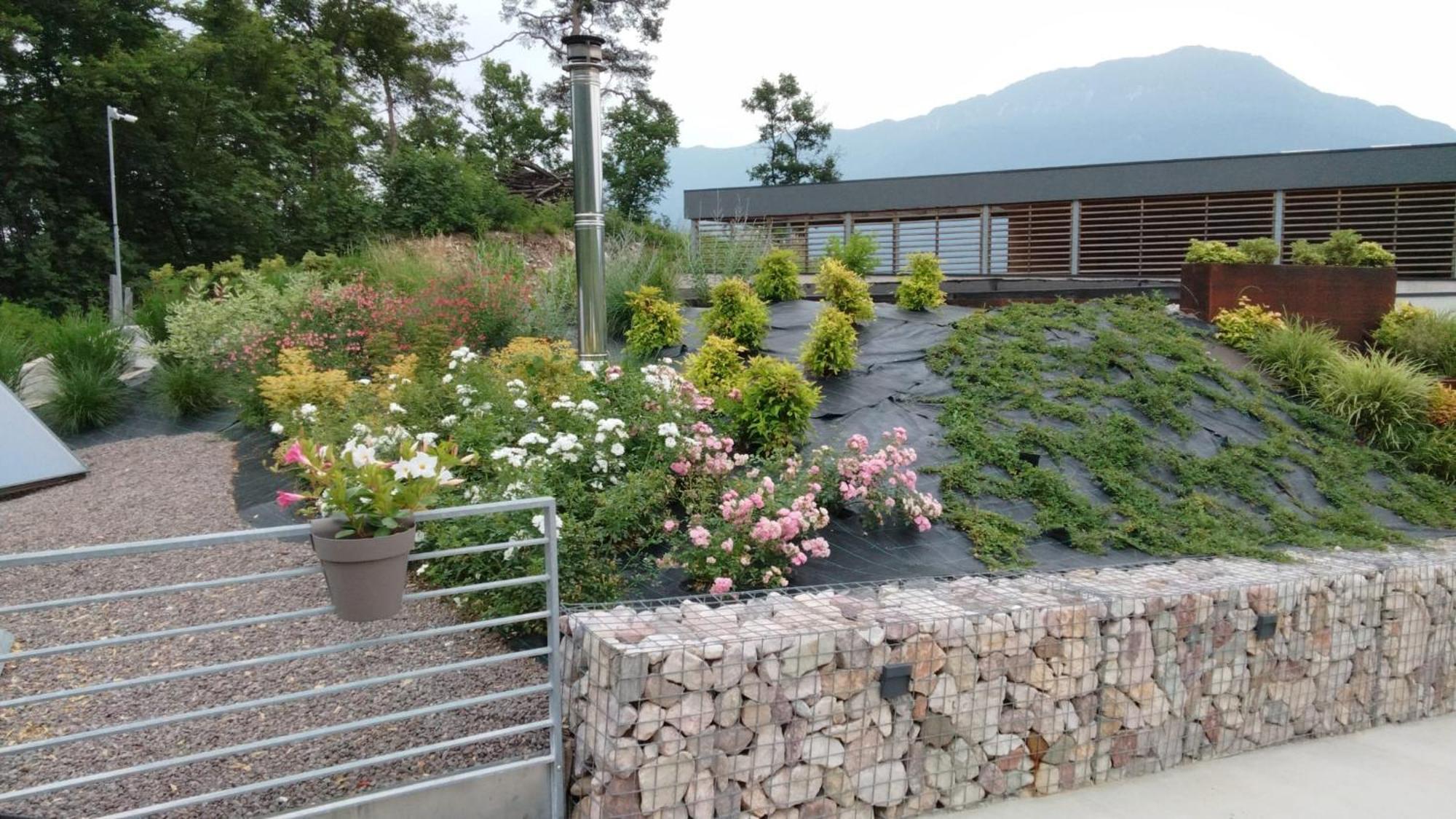 トレント Agriturismo Margoneヴィラ エクステリア 写真